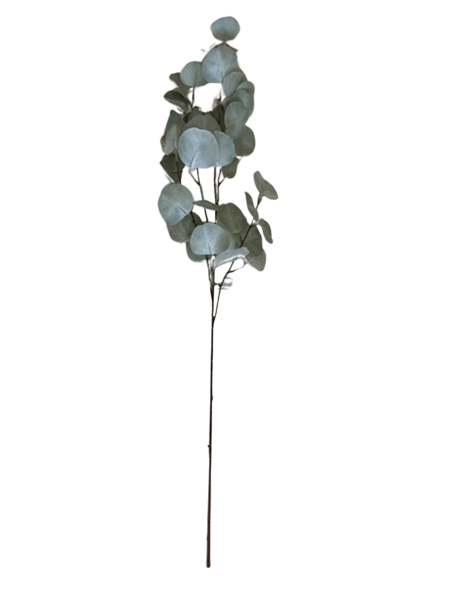 Eucalyptus Spray 90cm Styled Trays